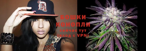 молекула духа Нефтекумск