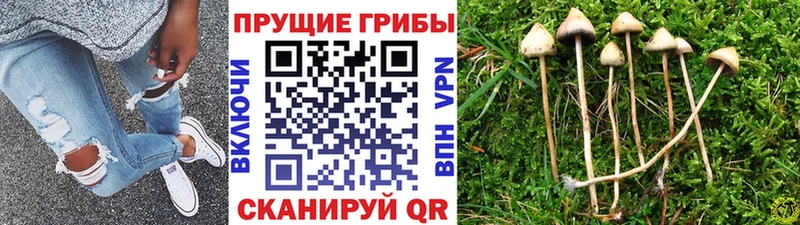 Галлюциногенные грибы ЛСД  даркнет сайт  Александровск-Сахалинский 