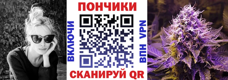 Конопля индика  Александровск-Сахалинский 